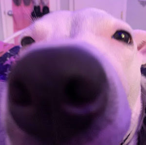 Meet your Posher, Destii